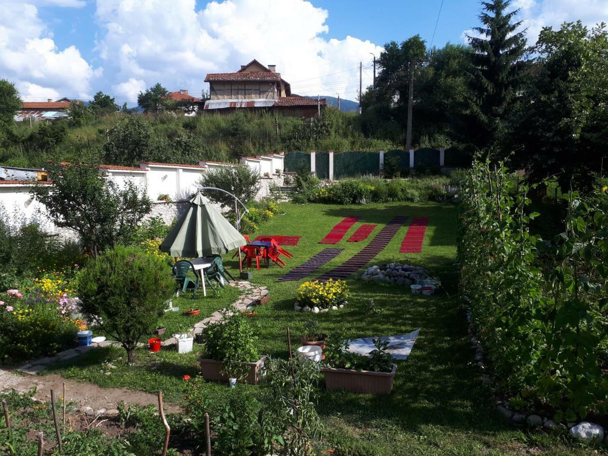 All Seasons Mountain Vistas Govedartsi Exterior photo